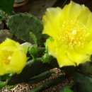 가사초등학교 이미지