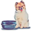 전식농장 이미지