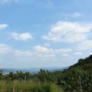 카페모니 이미지