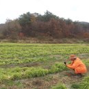 구암농장 이미지