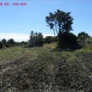 남원읍-1 이미지