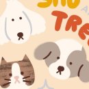 슈앤트리 이미지