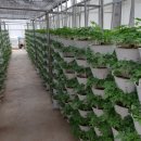 이룬농장 이미지