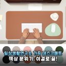 책상 분위기 전환 성공! 일상생활연구소 프리미엄 가죽 데스크매트 후기