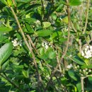 굿마루농장 이미지