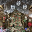 도토리캐빈 | 남양주 대형카페 봉주르팔당 크리스마스트리 캐빈 포토존 주말후기