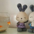 뻐끔뻐끔 이미지