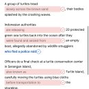 154)October 18th, 2026 'The Release Of Turtles Back To The Ocean' 이미지