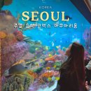 음악의 한가운데서 다시 만난 우리 | 주말 순삭 아이와 함께 다녀온 서울 강남 코엑스 아쿠아리움