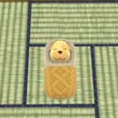 멋쟁이토마토 | 《드림 라운드》마케팅 후기(🍅멋쟁이 토마토가 되🍅)