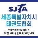 용인대성민태권도 이미지