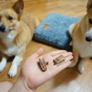 아토맘 수제간식 이미지