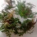 처음농장 이미지