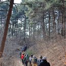 바우길 6구간 이미지