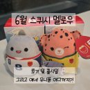 공이공팔머리나라 | 맥도날드 6월 해피밀 월드컵 콜라보 토이 스퀴시 멜로우, 출시일과 유니폼 나라 정보