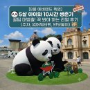 반딧불이유치원 | 8월 폭염 에버랜드 5살 아이와 10시간 생존기 꼭 가야한다면 보세요 (주차, 썸머워터펀, 반딧불이 꿀팁)