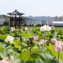 상하수도사업소 이미지