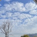 우중불고기 이미지