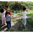 팔복어린이집 이미지