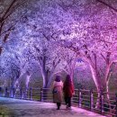 덕풍천동로 이미지