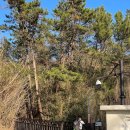 선창경로당 | 신안 우이도 상산봉 섬산행 서해바다 일몰 풍경