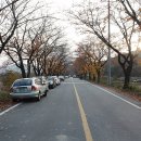 암곡 왕산 이미지