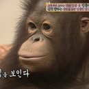 고등어식당 네이버블로그