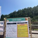멍스마켓