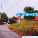 일영송어장 이미지