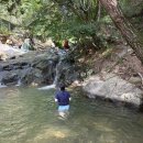 여주-0811 이미지