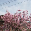 동부2리경로당 이미지