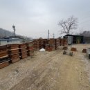 미리 요리해 놓은 ＜음식=꿀먹이장＞으로 (겨울~봄)에 꿀벌 새가족을 꾸렸어요. [효과: 약군의 소모체력을 육아에 더 집중] 이미지