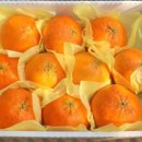 수산농장 이미지