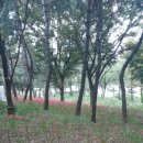 용하공원로 이미지