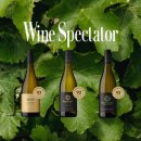 라파우라 스프링스, 불 파독 빈야드 소비뇽 블랑(Rapaura Springs, Bull Paddock Vineyard Sauvignon...