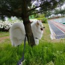 봄날동물의료센터 이미지