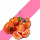 이지몰 - 부천시 소사구 | 이지몰
