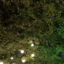 장안문버스정류장 이미지