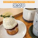 카페봄살구 | 도안동카페 '봄살구' 컵케이크 방문 후기