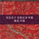 신길튼튼정형외과의원 | 신길 정형외과 무릎 통증 자가관리로 보행·생활 회복