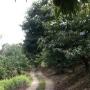 상가농장 이미지