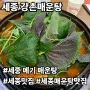 세종이마트 믿음약국 | [장군면] 세종 매운탕 맛집 강촌매운탕, 세종 메기 매운탕 제대로 먹고 온 후기