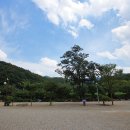 강당골캠핑파크 이미지