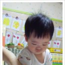 지호야채