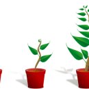 황상초교 이미지