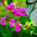 중구농협 이미지