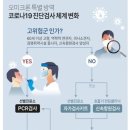 코로나이비인후과의원 이미지