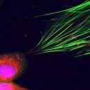 360-1-000049 이미지