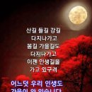 💘단 하나이자 마지막 사랑💘 이미지