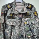 전우군장